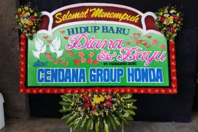 Bunga papan bali 